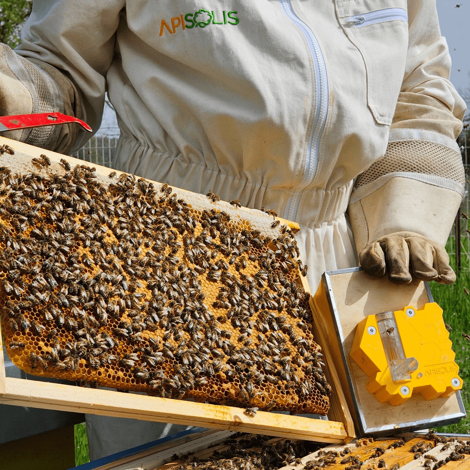 Photo d'un cadre de ruche rempli d'abeille, et du vaporisateur Apisolis. 